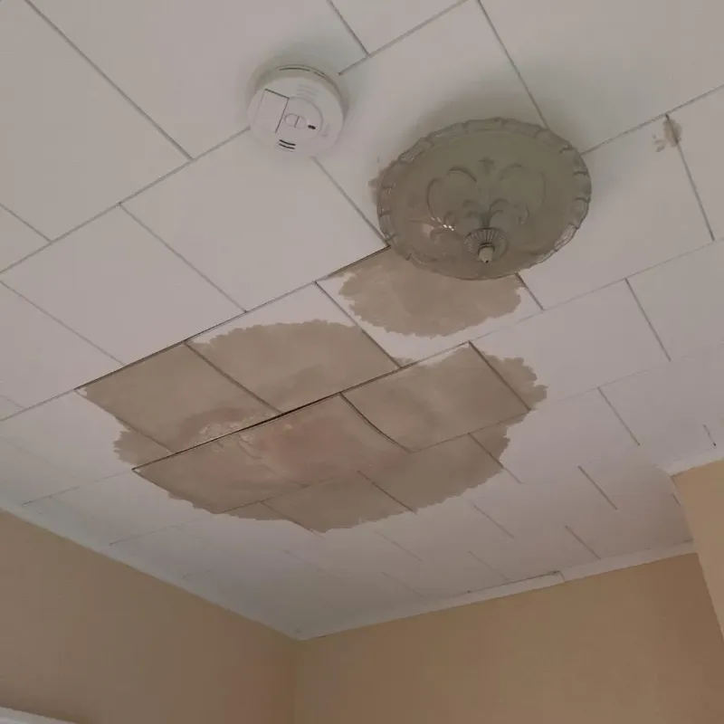 Ceiling Water Damage Repair in Purcell, OK